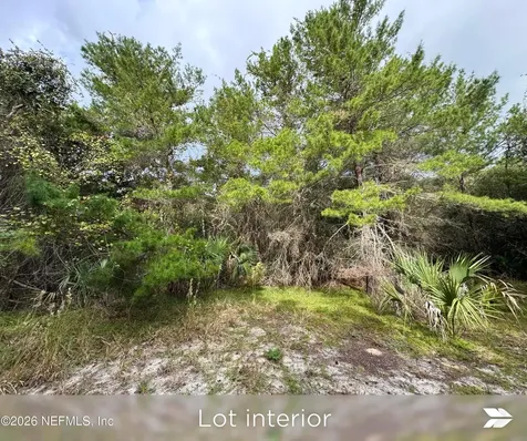 Lot 2 909 Eagle Drive St. Augustine FL 32086