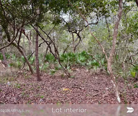 Lot 2 909 Eagle Drive St. Augustine FL 32086