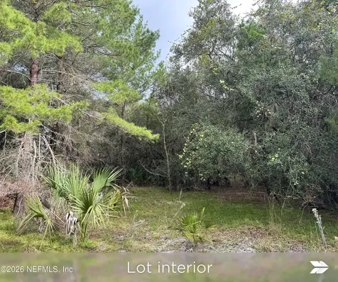 Lot 2 909 Eagle Drive St. Augustine FL 32086