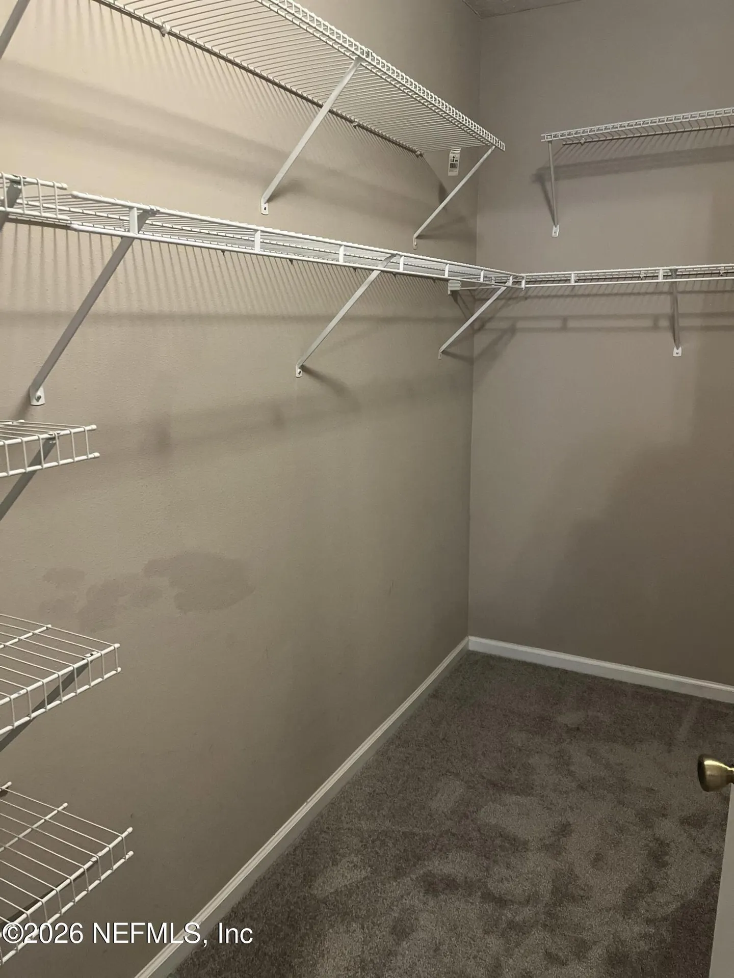 575 Oakleaf Plantation Parkway Orange Park FL 32065