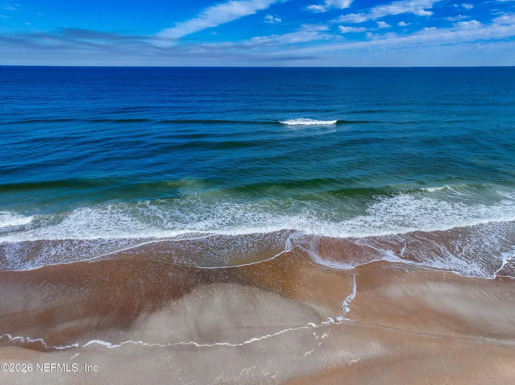 1309 Turtle Dunes Court Ponte Vedra Beach FL 32082