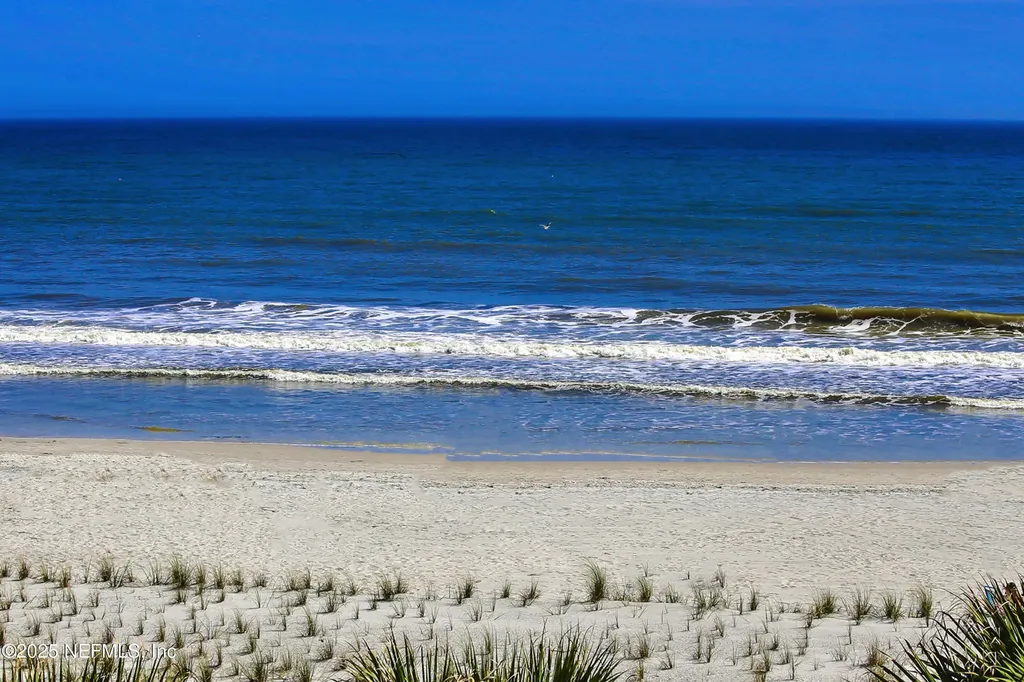 1306 1st Street S Jacksonville Beach FL 32250
