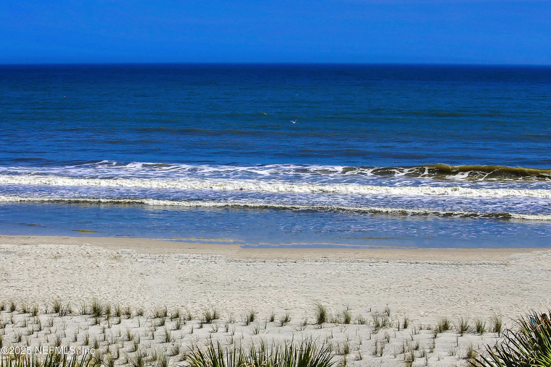 1306 1st Street S Jacksonville Beach FL 32250