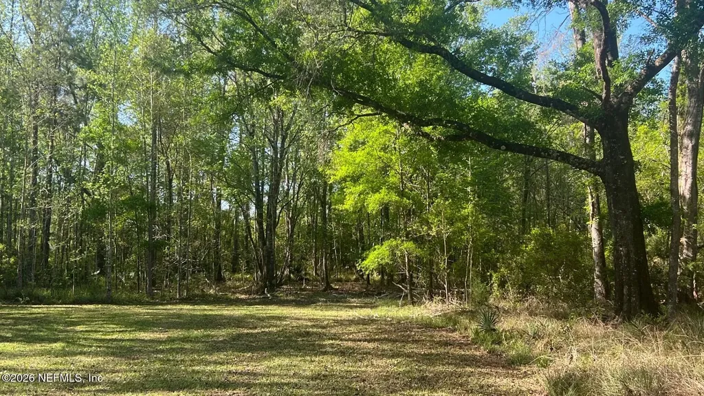 4369 Hawk Haven Road Middleburg FL 32068