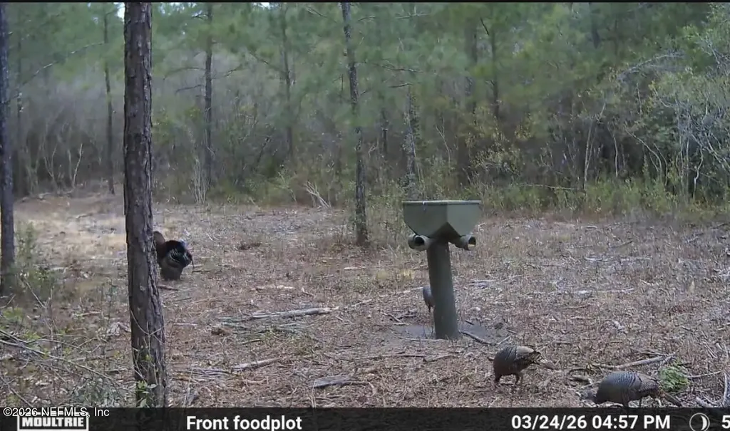 O Lazy Pines Road Glen St. Mary FL 32040