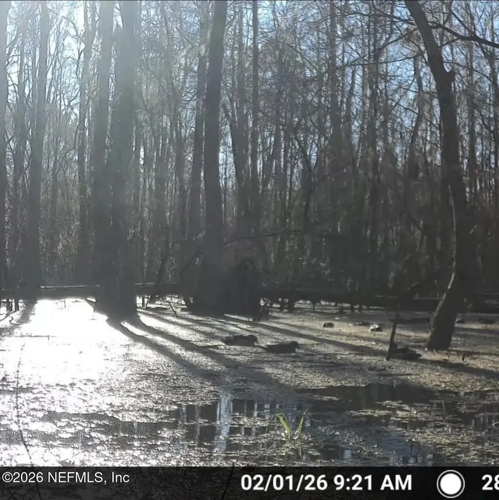 O Lazy Pines Road Glen St. Mary FL 32040