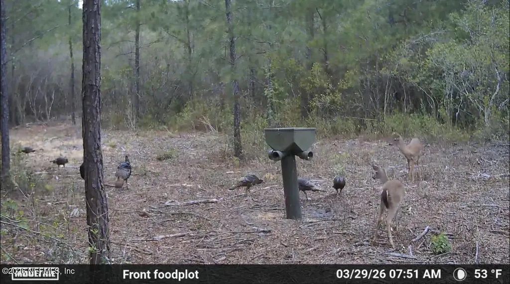 O Lazy Pines Road Glen St. Mary FL 32040