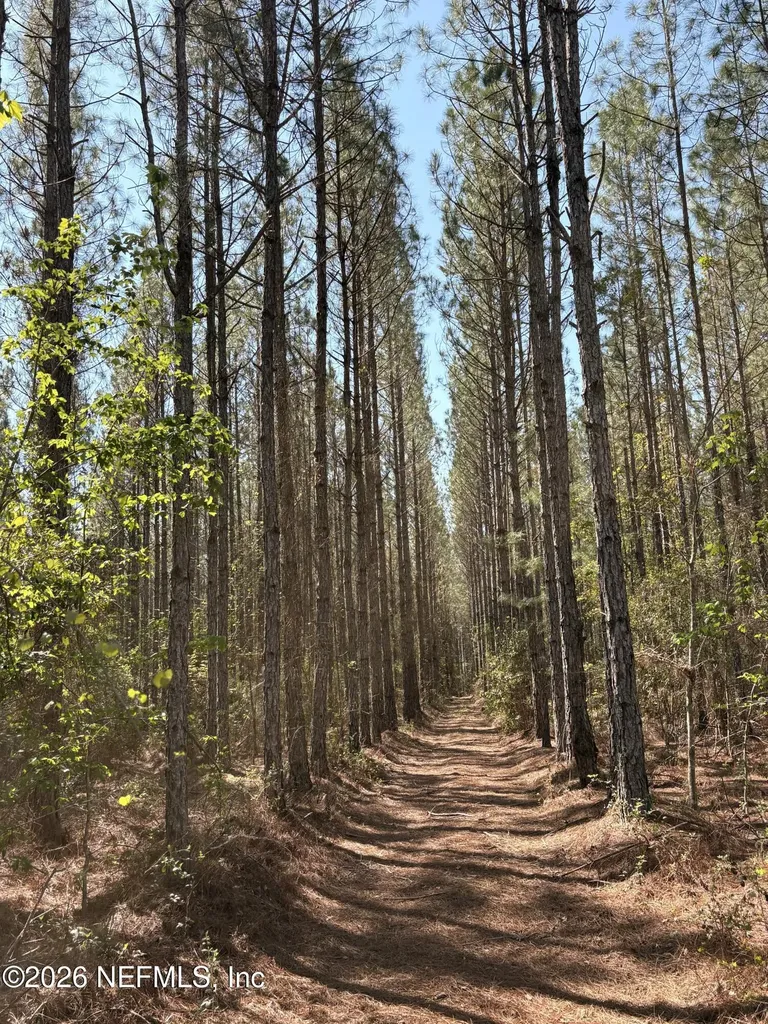O Lazy Pines Road Glen St. Mary FL 32040