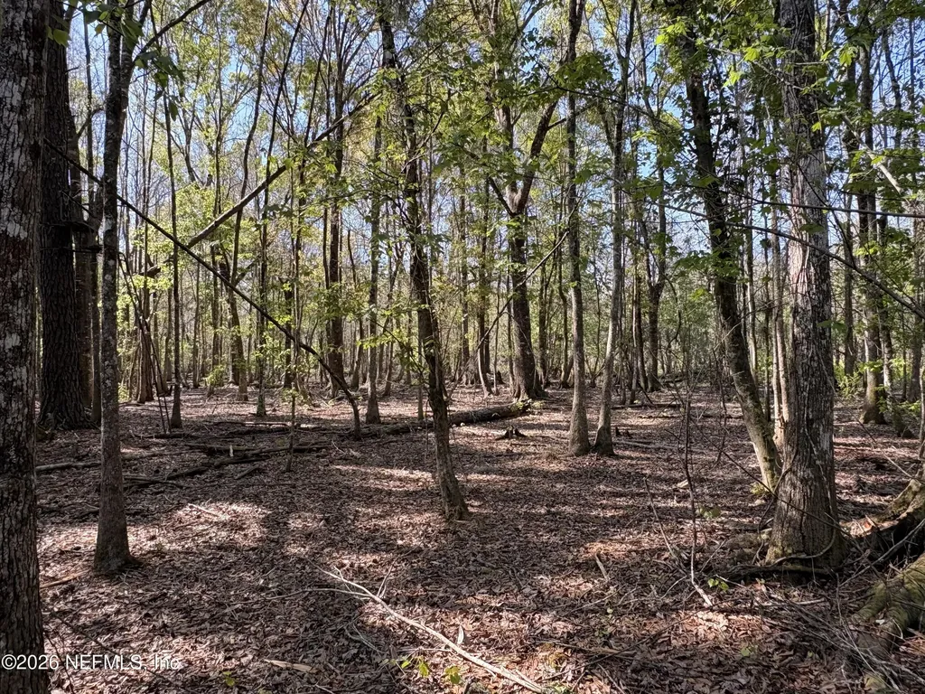 O Lazy Pines Road Glen St. Mary FL 32040