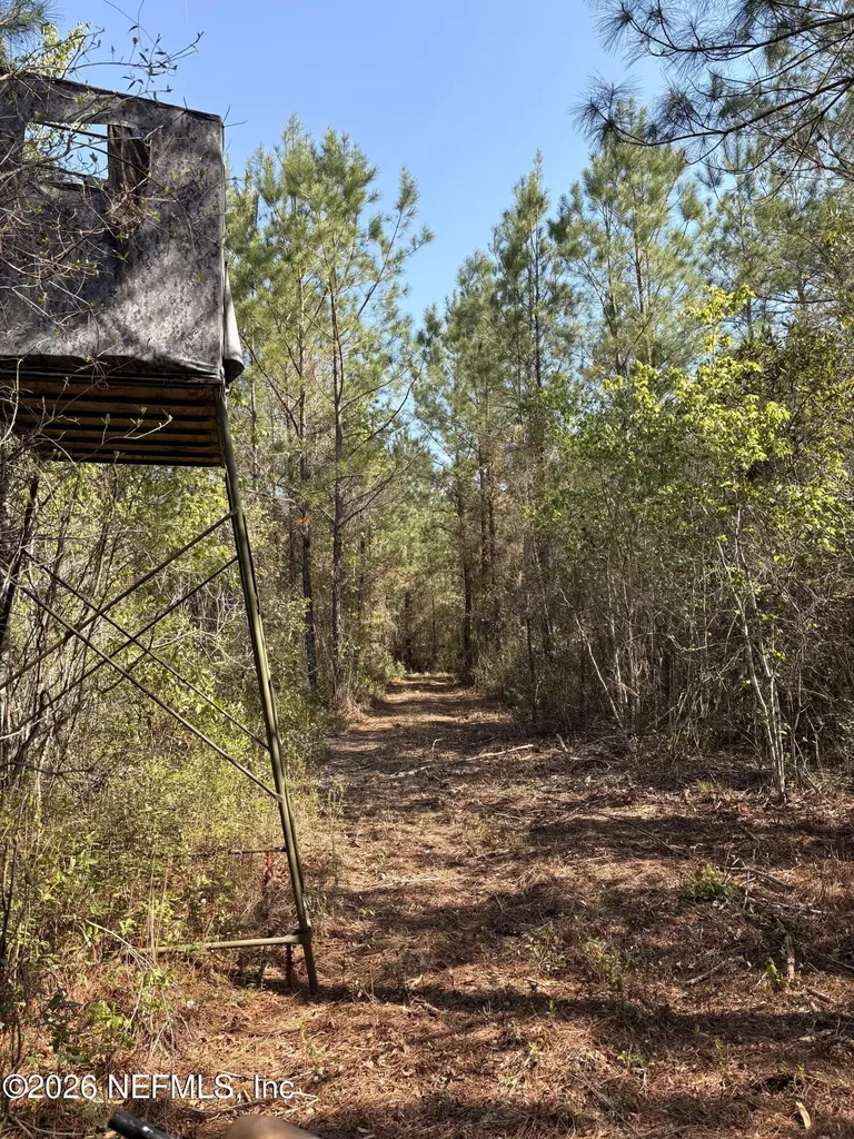 O Lazy Pines Road Glen St. Mary FL 32040