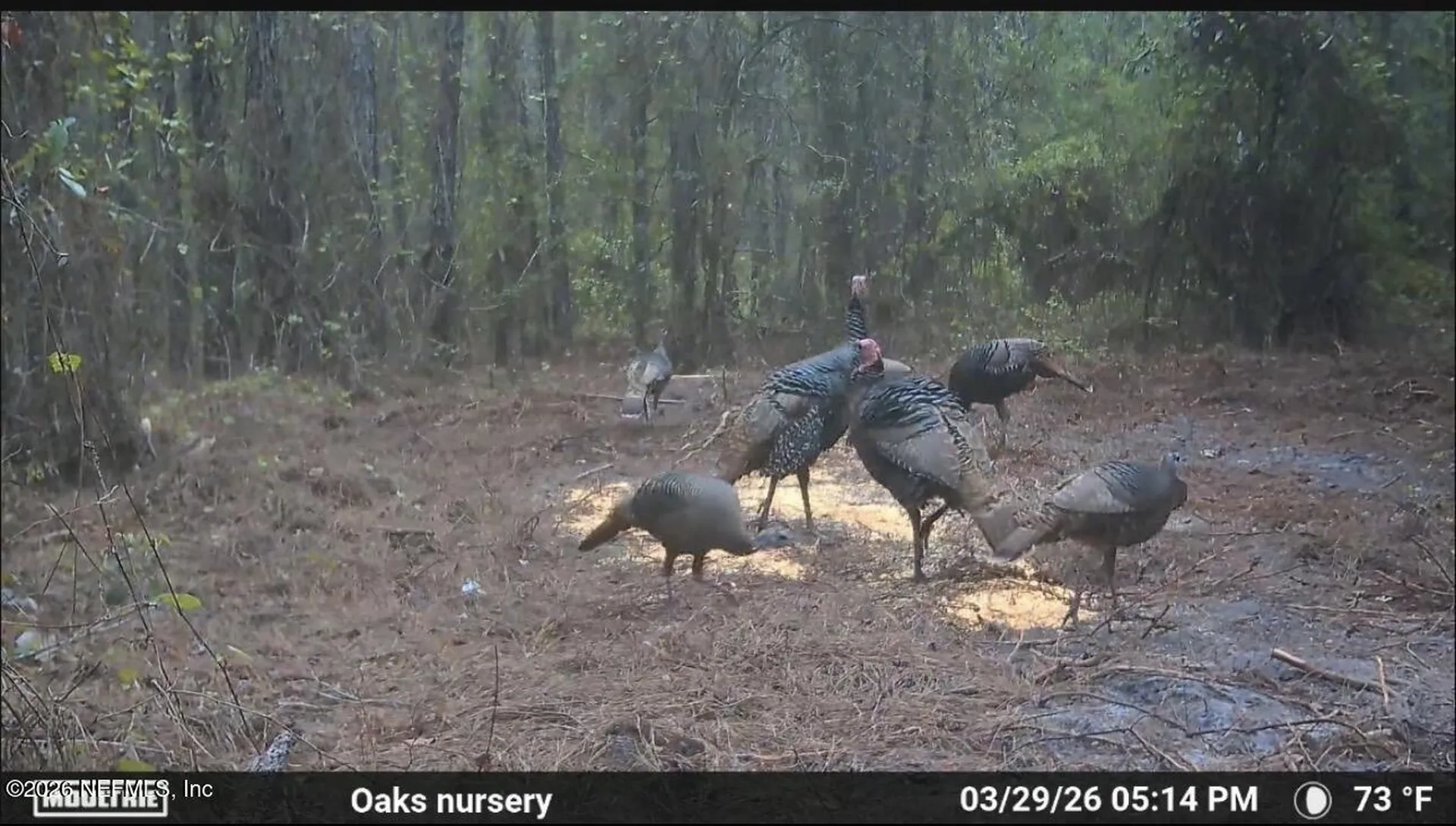 O Lazy Pines Road Glen St. Mary FL 32040