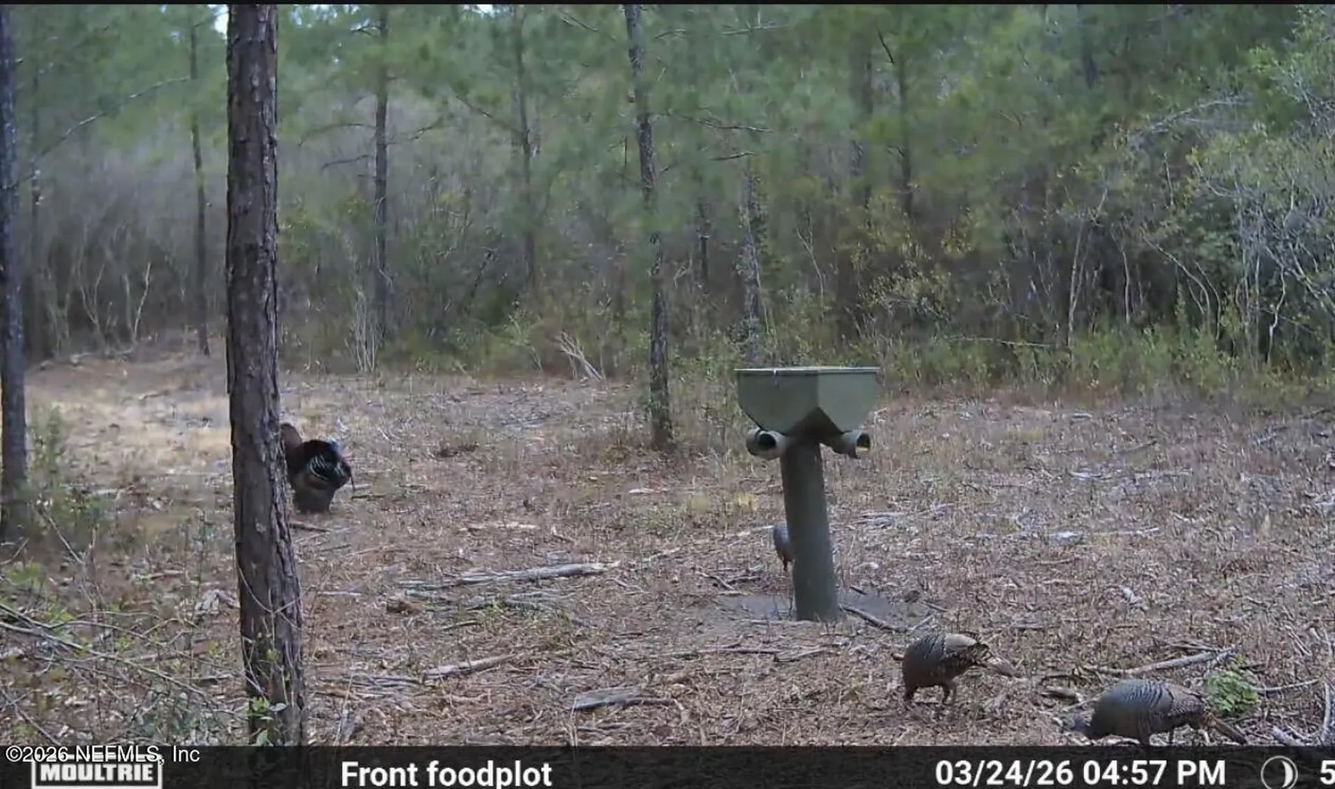 O Lazy Pines Road Glen St. Mary FL 32040