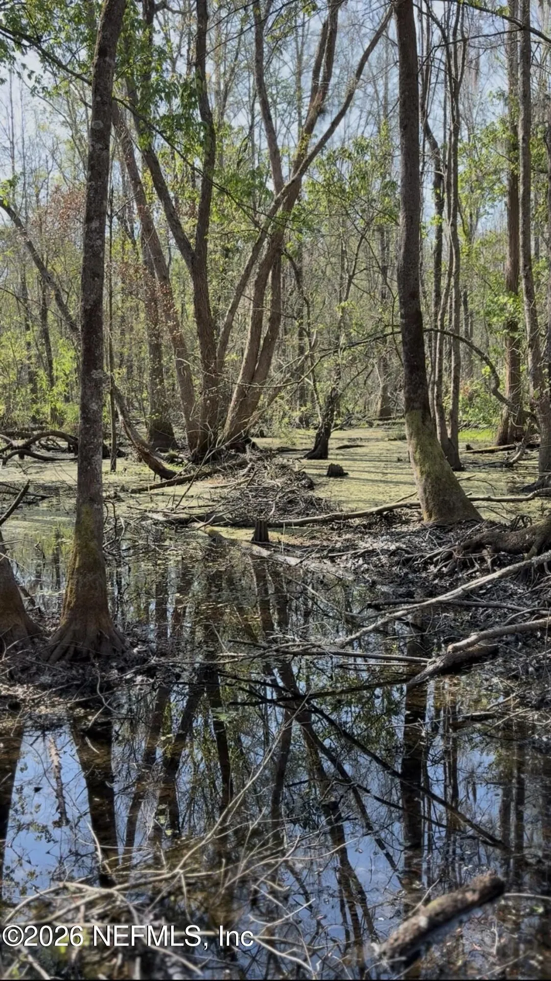 O Lazy Pines Road Glen St. Mary FL 32040