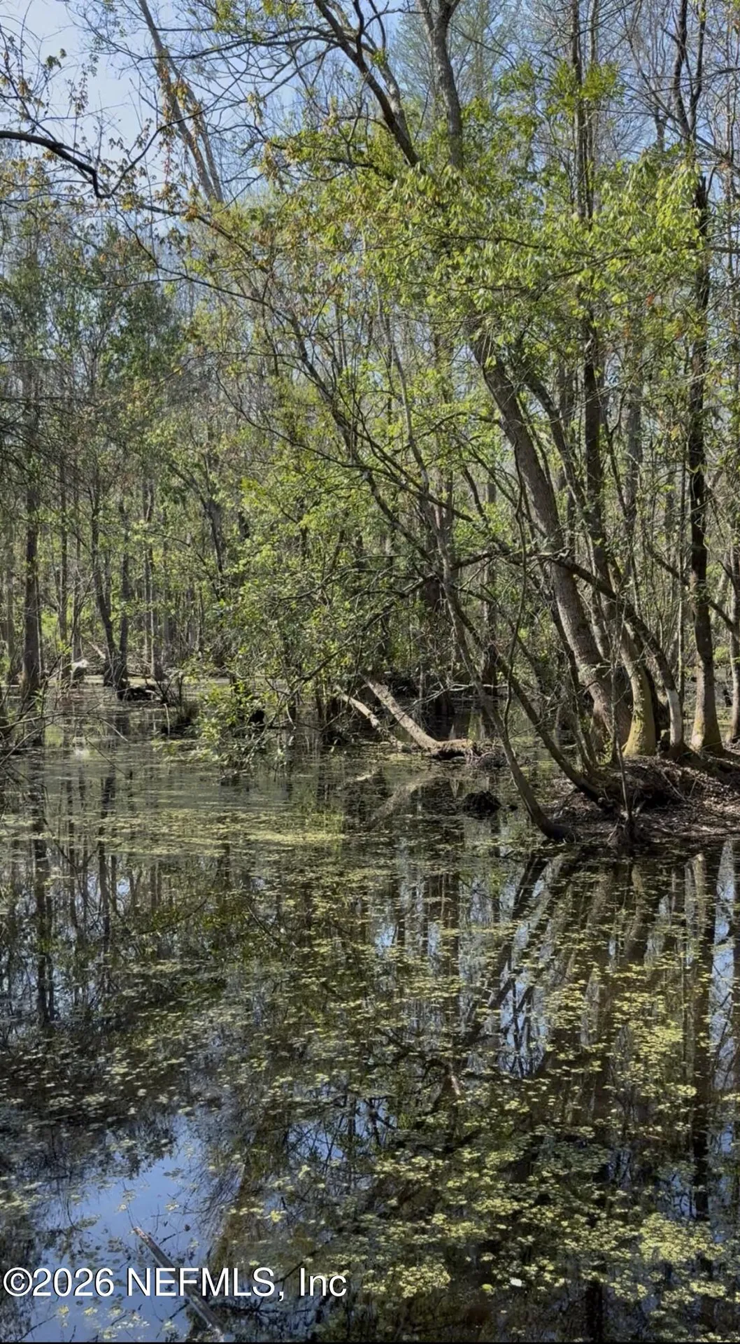 O Lazy Pines Road Glen St. Mary FL 32040