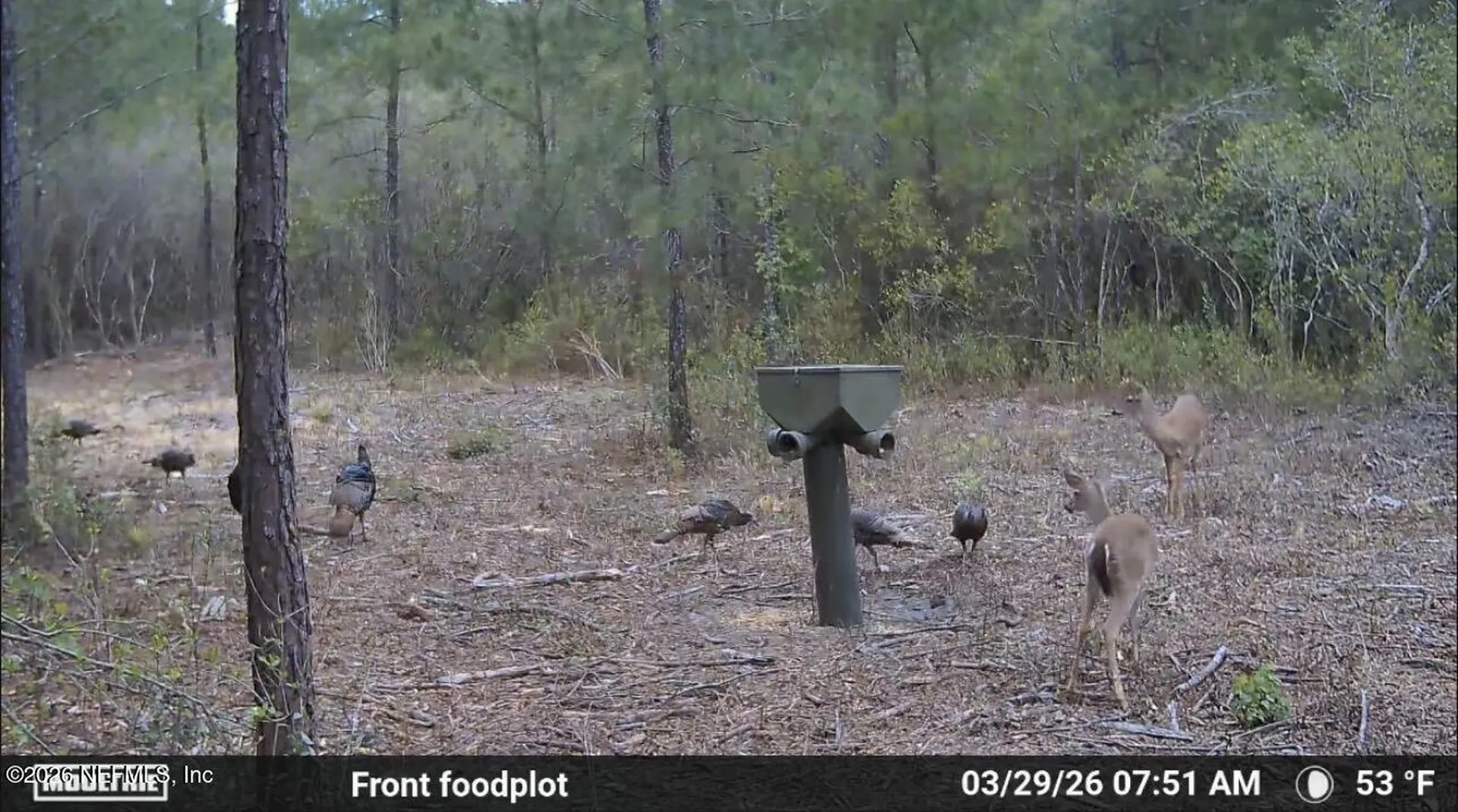O Lazy Pines Road Glen St. Mary FL 32040
