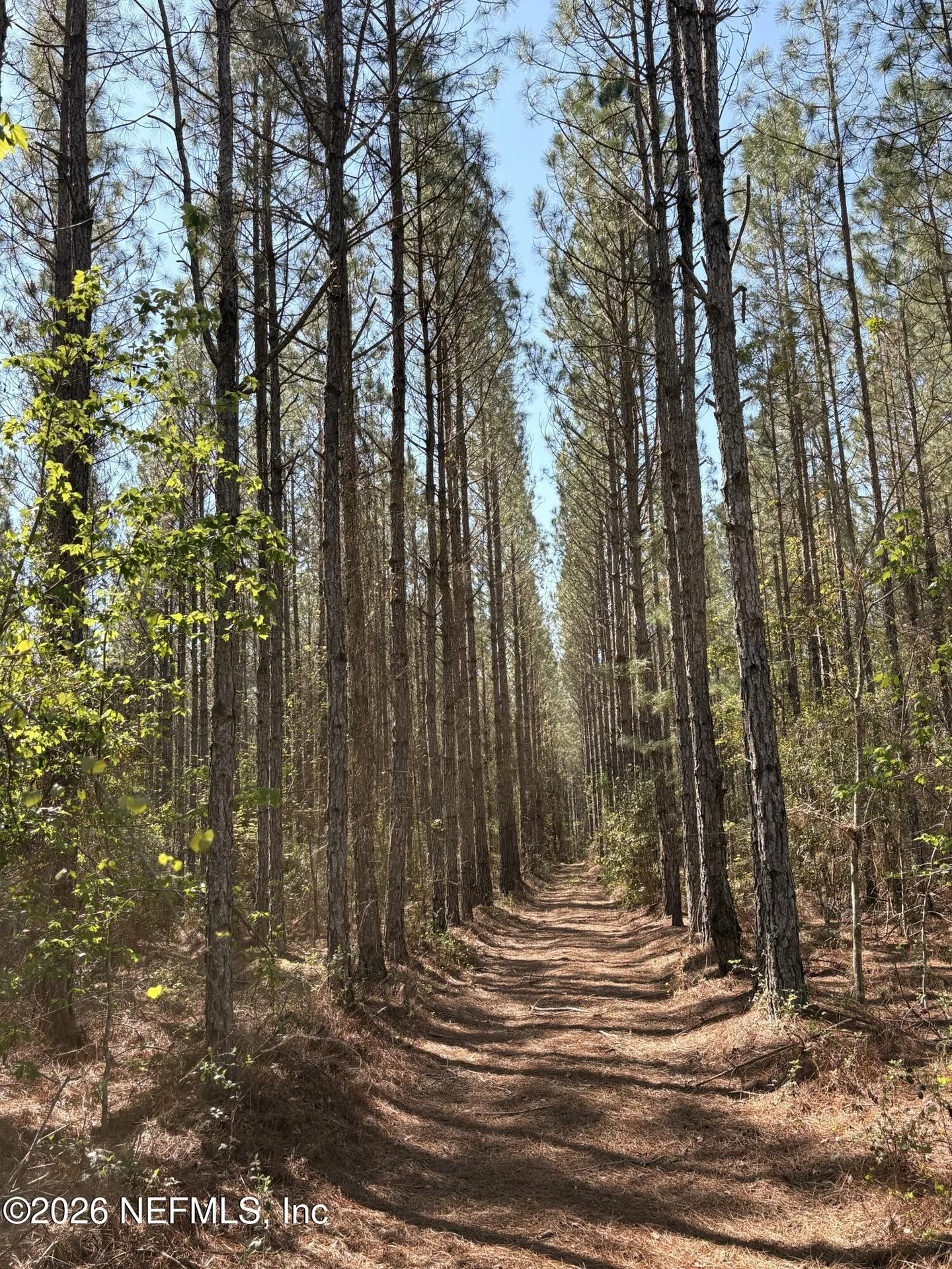 O Lazy Pines Road Glen St. Mary FL 32040