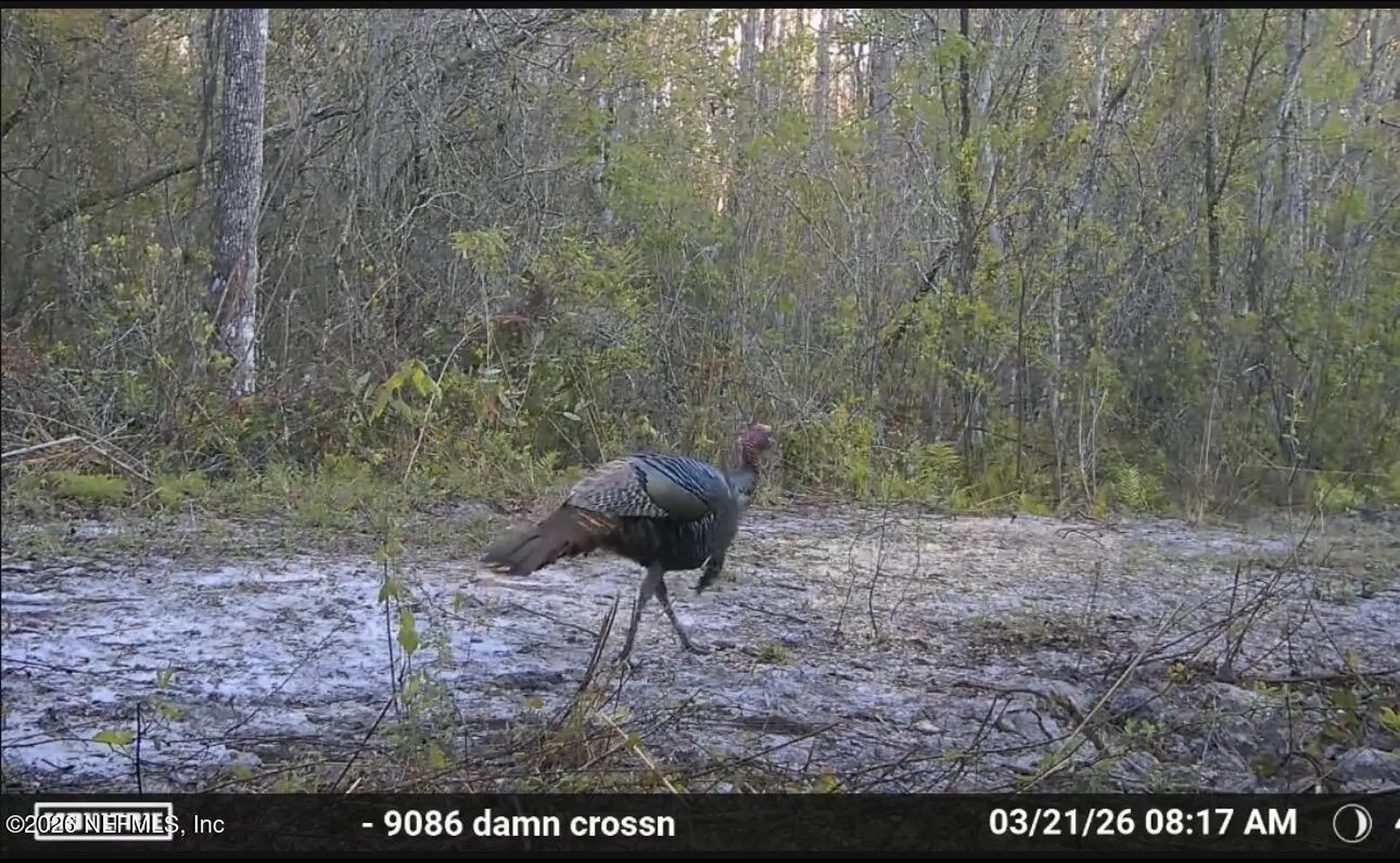 O Lazy Pines Road Glen St. Mary FL 32040