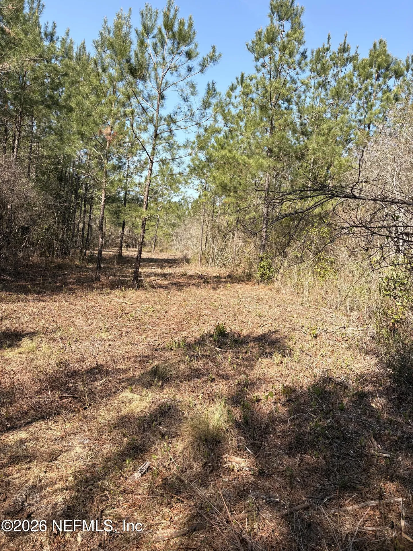 O Lazy Pines Road Glen St. Mary FL 32040