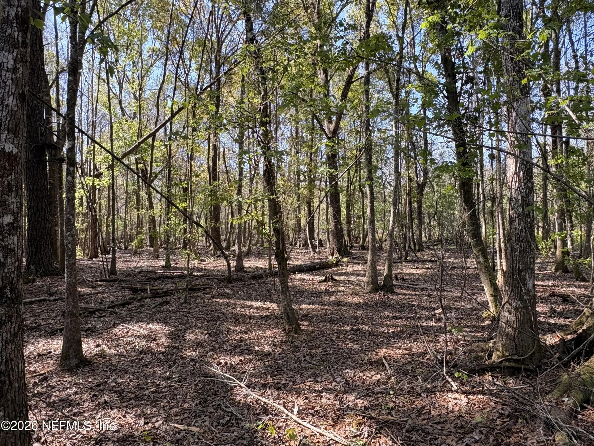 O Lazy Pines Road Glen St. Mary FL 32040