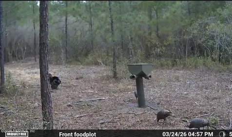 O Lazy Pines Road Glen St. Mary FL 32040