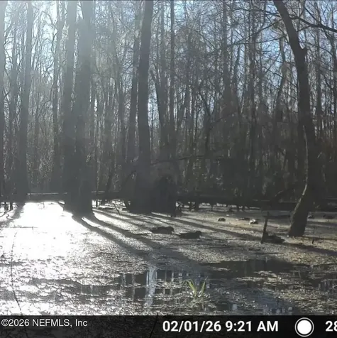 O Lazy Pines Road Glen St. Mary FL 32040