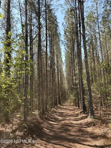 O Lazy Pines Road Glen St. Mary FL 32040