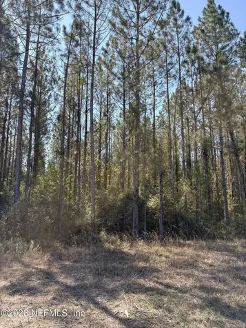O Lazy Pines Road Glen St. Mary FL 32040