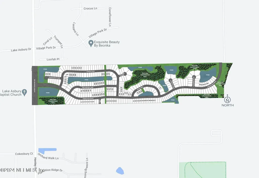 3322 Willowleaf Lane Green Cove Springs FL 32043