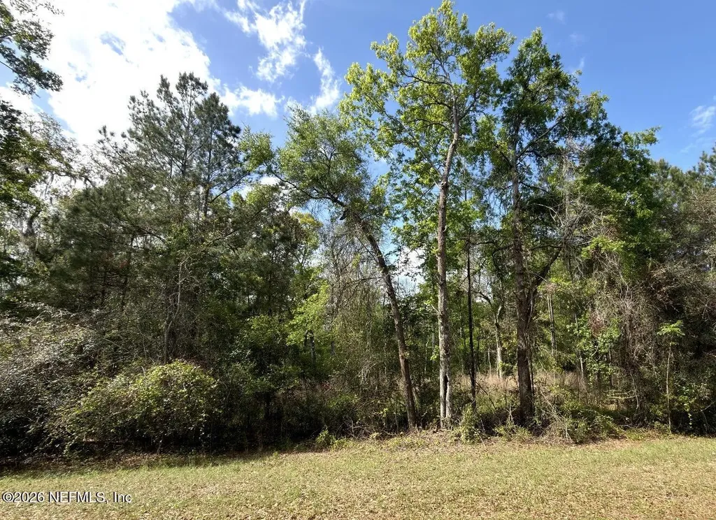 4501 Tarragon Avenue Middleburg FL 32068