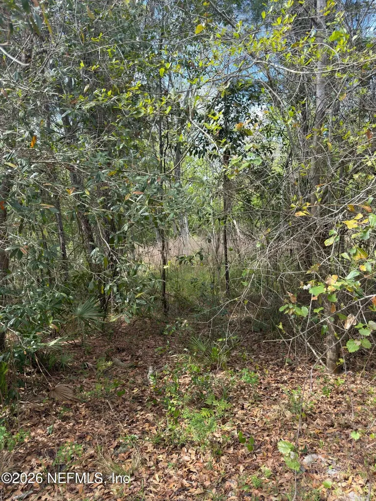 4501 Tarragon Avenue Middleburg FL 32068