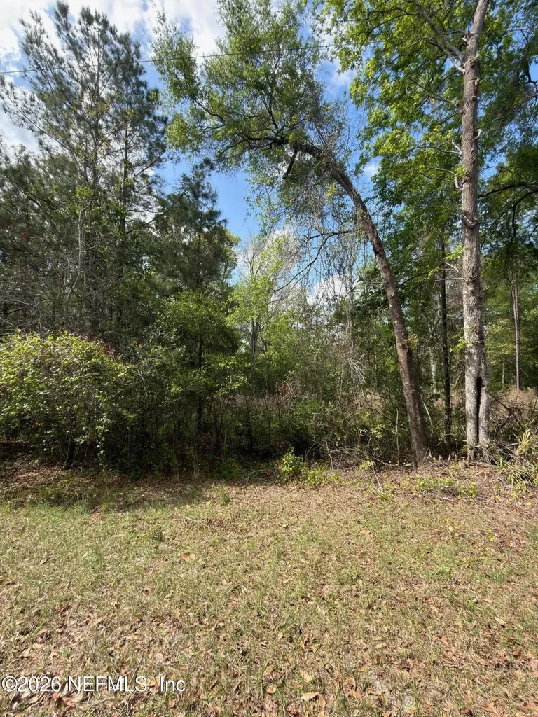 4501 Tarragon Avenue Middleburg FL 32068
