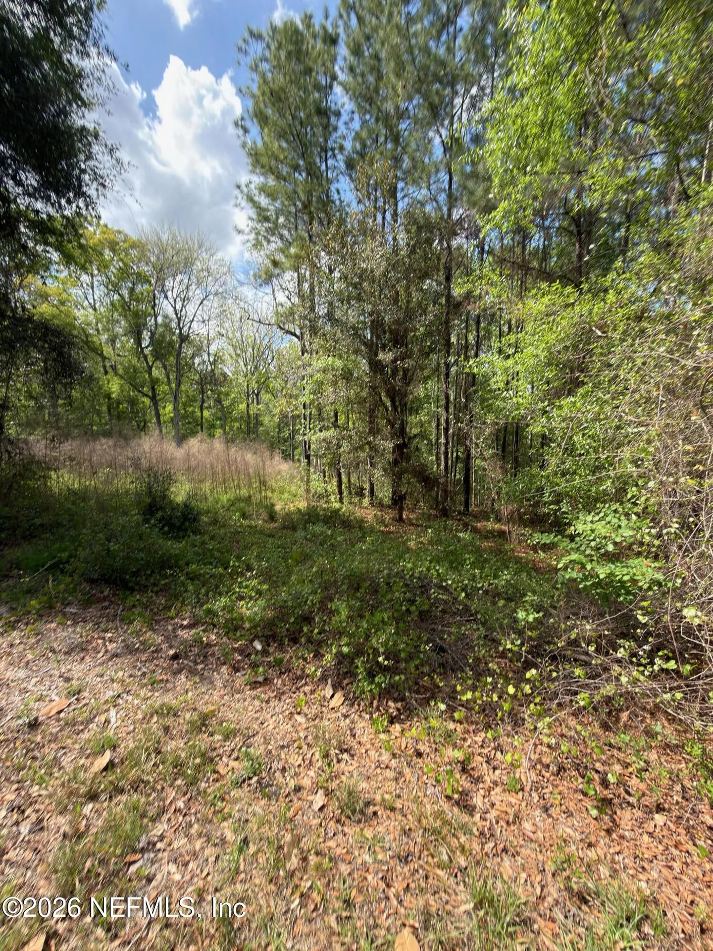 4501 Tarragon Avenue Middleburg FL 32068