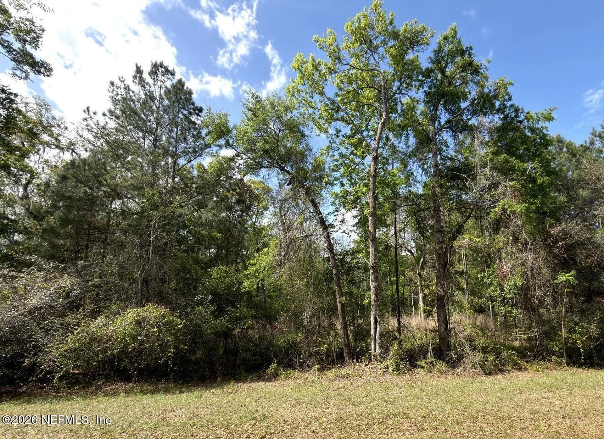 4501 Tarragon Avenue Middleburg FL 32068