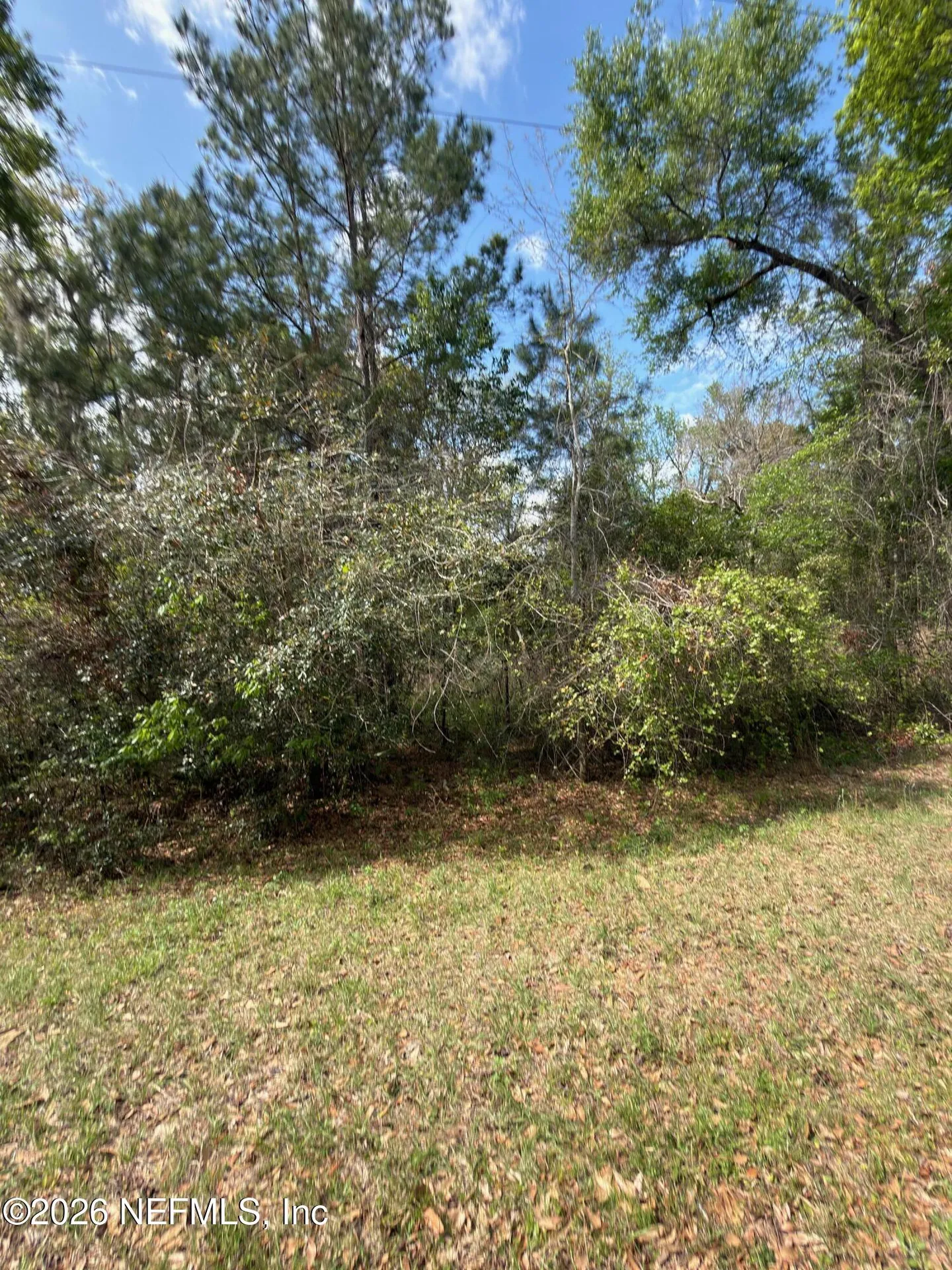 4501 Tarragon Avenue Middleburg FL 32068