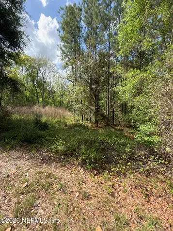 4501 Tarragon Avenue Middleburg FL 32068