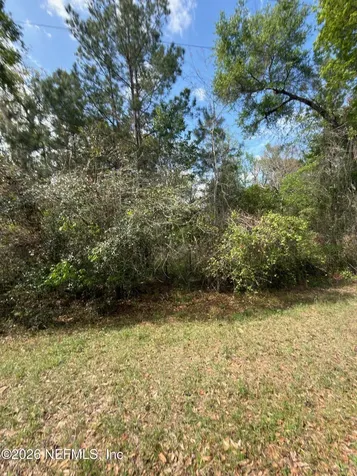 4501 Tarragon Avenue Middleburg FL 32068