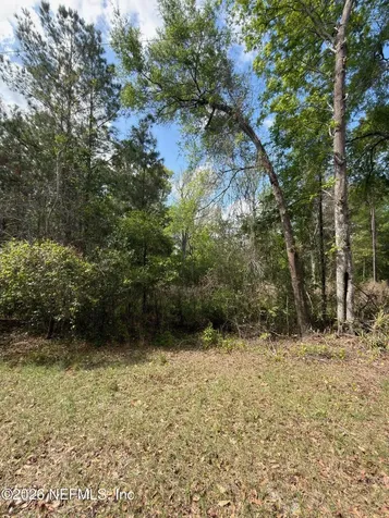 4501 Tarragon Avenue Middleburg FL 32068