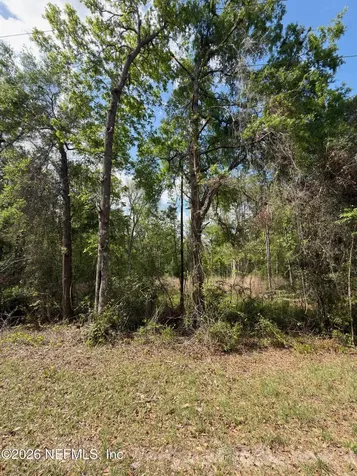 4501 Tarragon Avenue Middleburg FL 32068