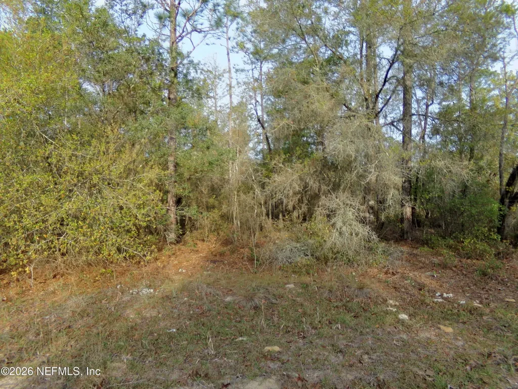 111 Brass Street Interlachen FL 32148