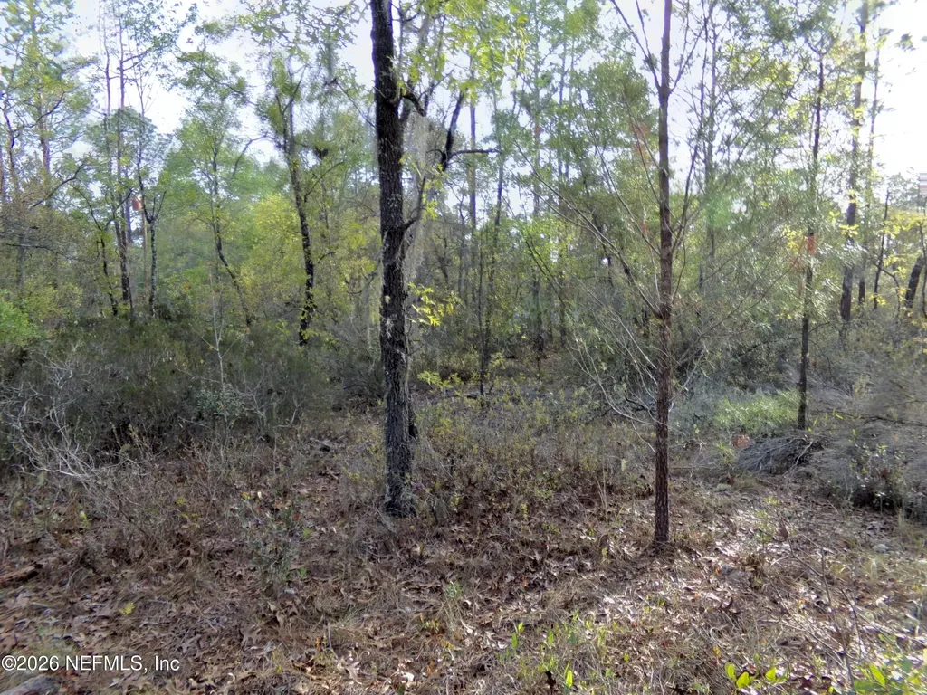 111 Brass Street Interlachen FL 32148