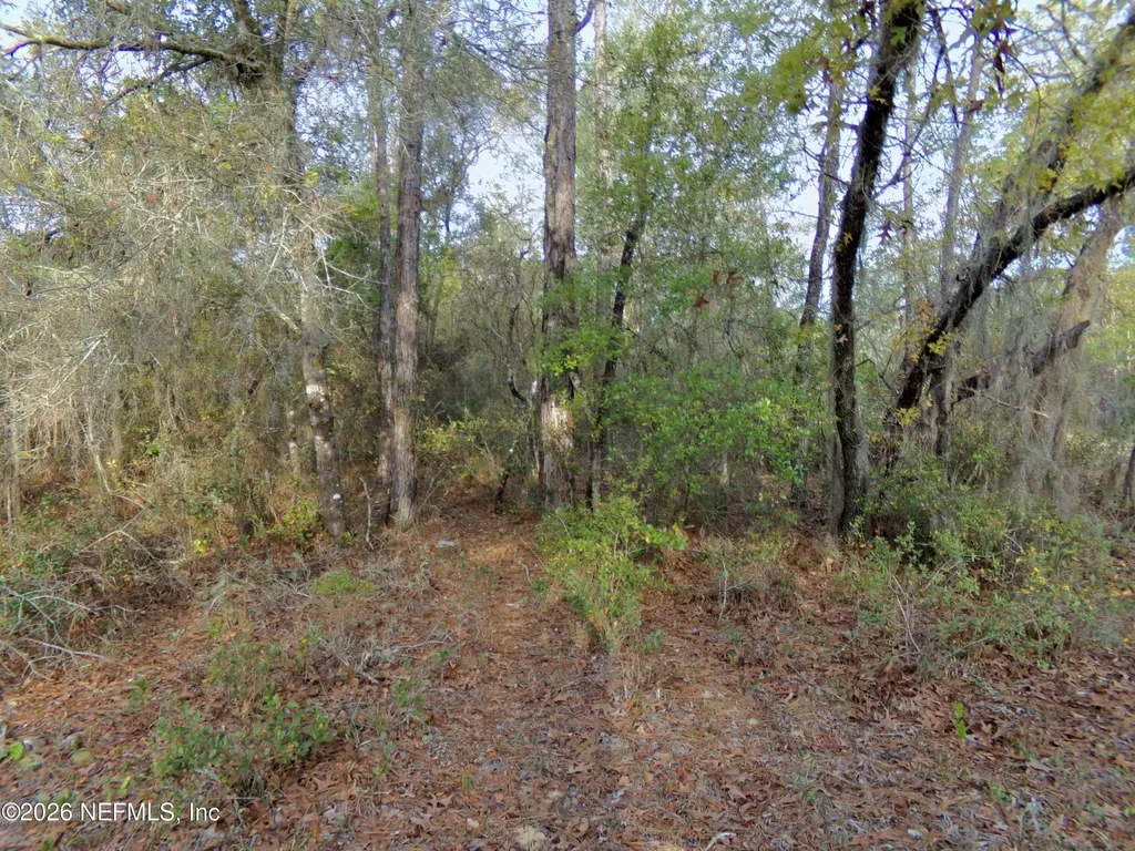 111 Brass Street Interlachen FL 32148