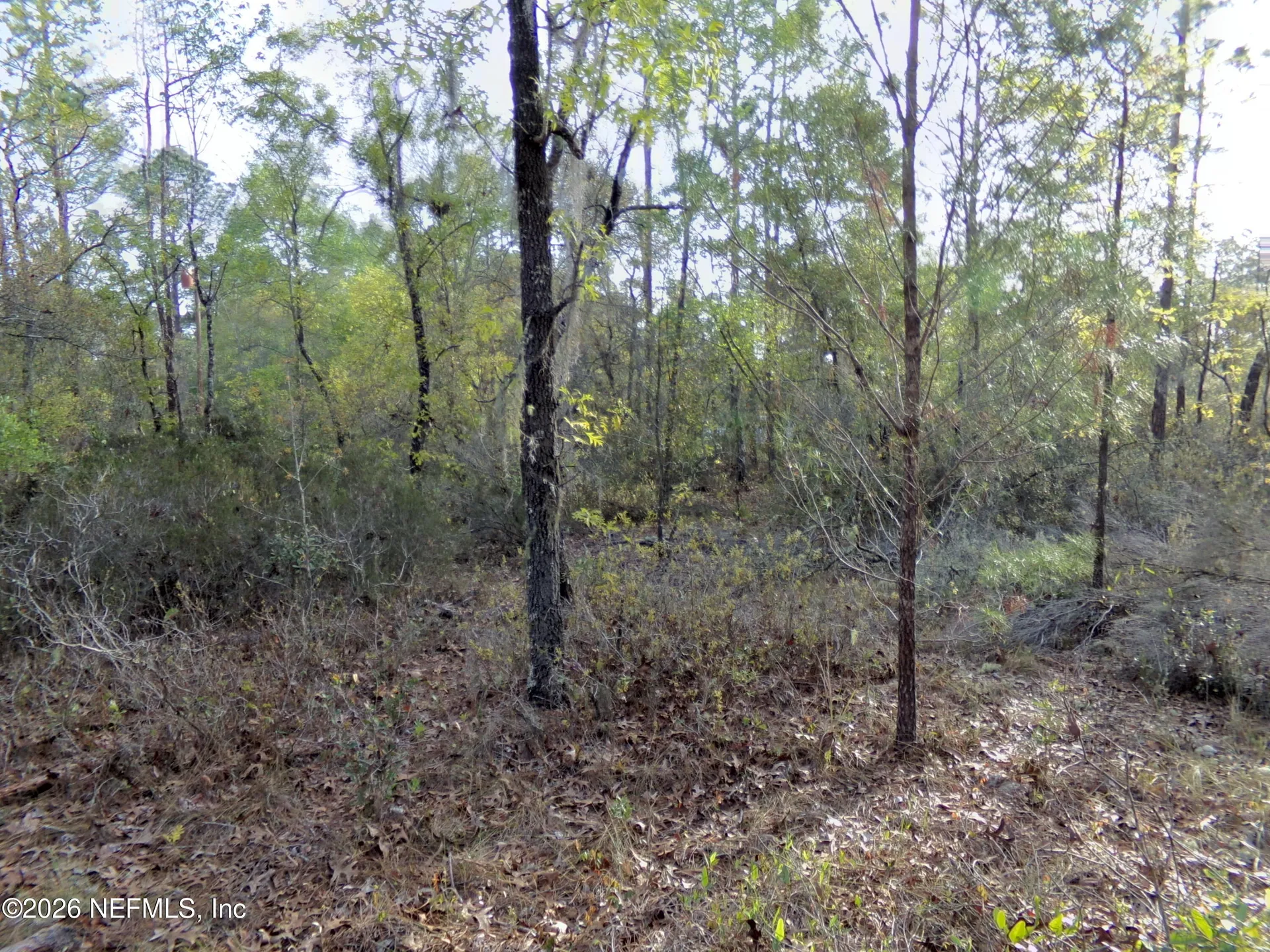 111 Brass Street Interlachen FL 32148