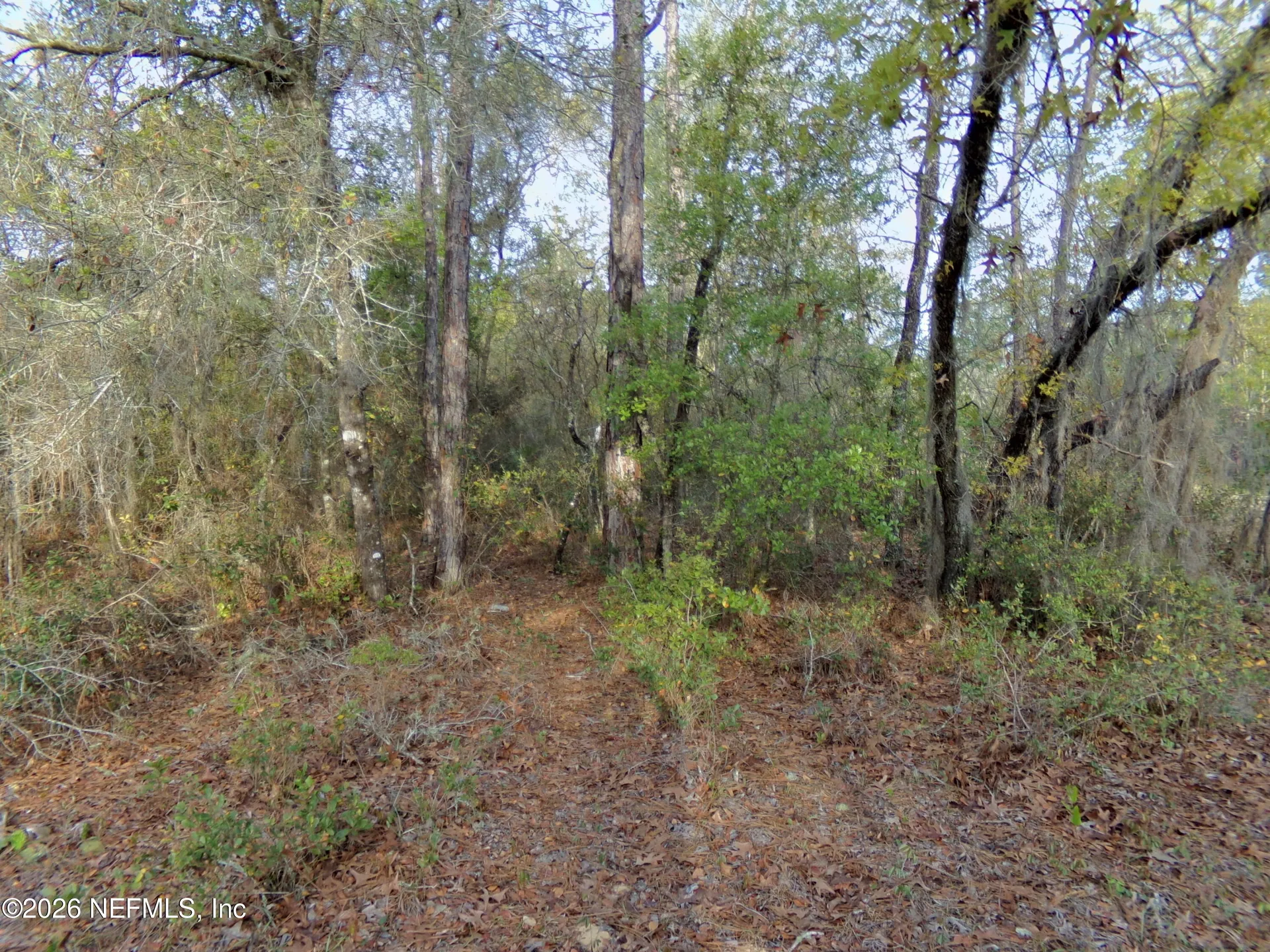 111 Brass Street Interlachen FL 32148