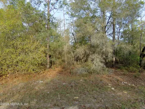 111 Brass Street Interlachen FL 32148