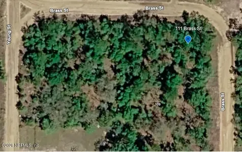 111 Brass Street Interlachen FL 32148