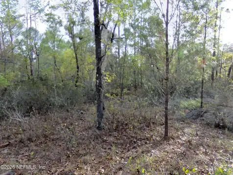 111 Brass Street Interlachen FL 32148