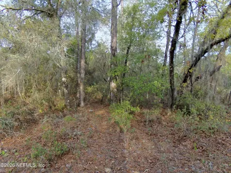 111 Brass Street Interlachen FL 32148