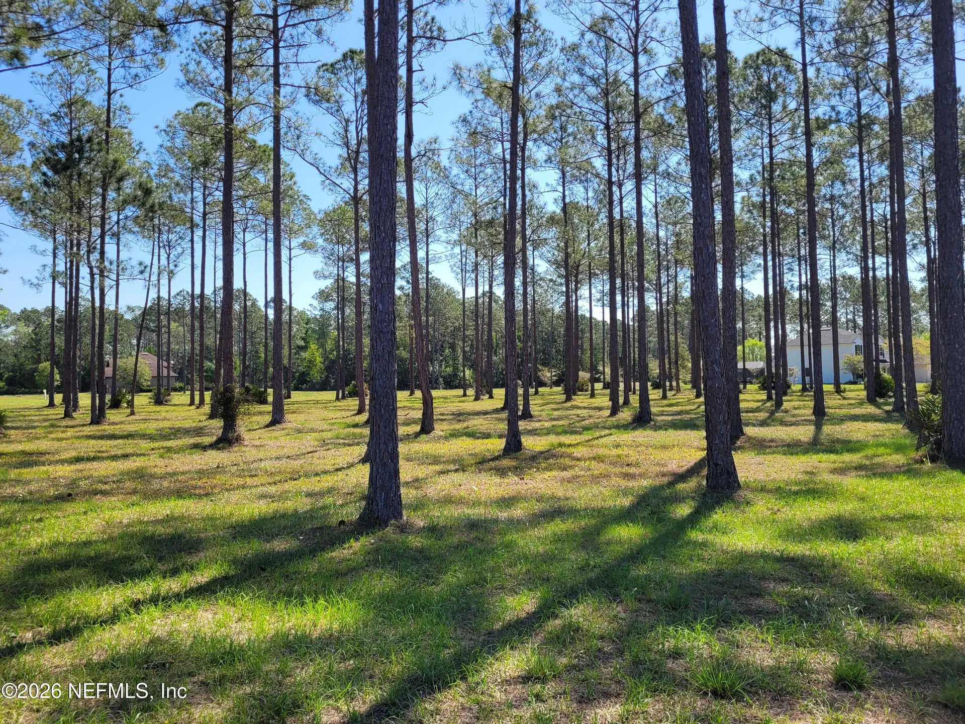 11019 Derby Chase Court Jacksonville FL 32219