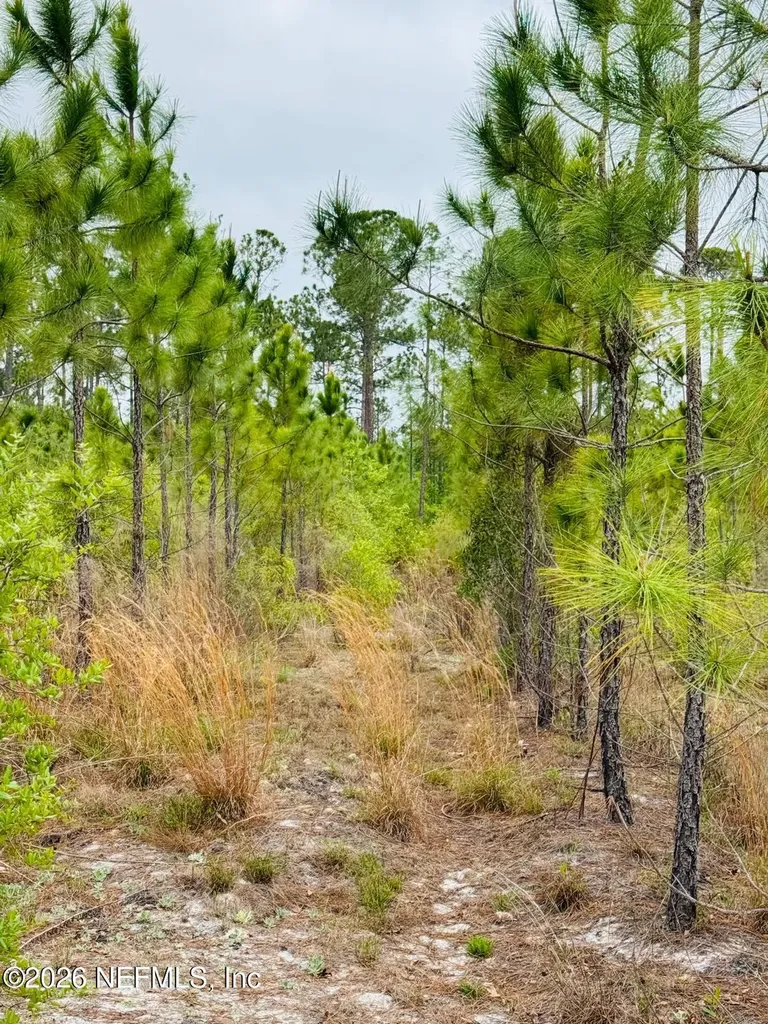 2857 Steel Bridge Road Macclenny FL 32063