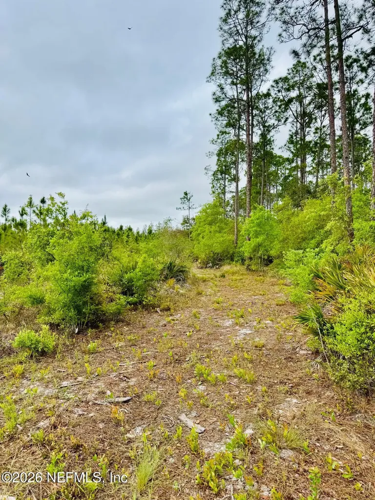 2857 Steel Bridge Road Macclenny FL 32063